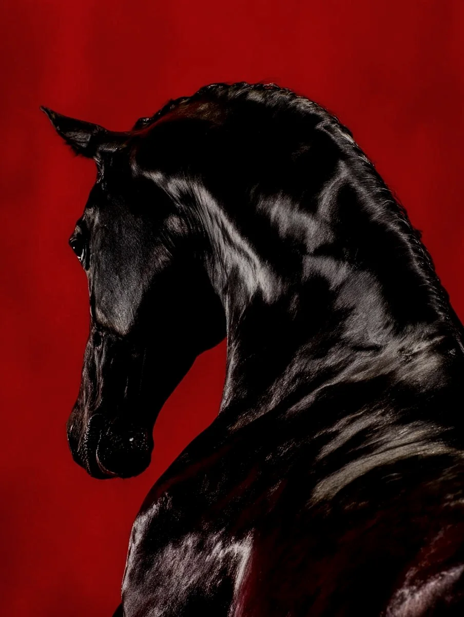 Sculptural black horse against a bold red field, representing The Rebel